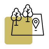 Daily Transportation